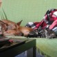 Formas de dormir 3